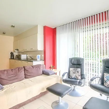 Amena Gv02 G * 코크시데