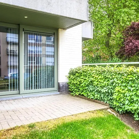 Amena Gv02 G * 코크시데